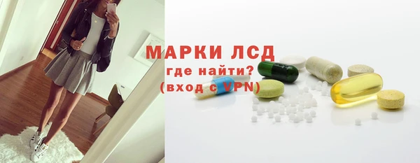 стафф Сосновый Бор